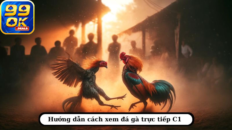 Hướng dẫn xem đá gà trực tiếp C1