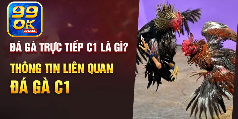 Thông tin giải đấu đá gà trực tiếp C1